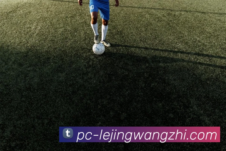 乐竟网址全站App